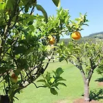 El Campo * Secadura