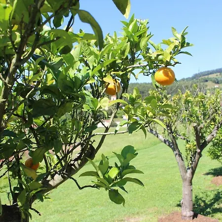 El Campo * Secadura