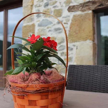 El Campo Country house
