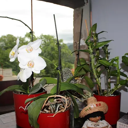 El Campo Secadura