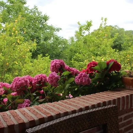 El Campo Country house