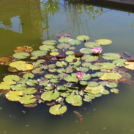 El Campo Landhuis Secadura