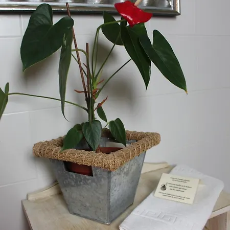 El Campo Hétvégi ház *