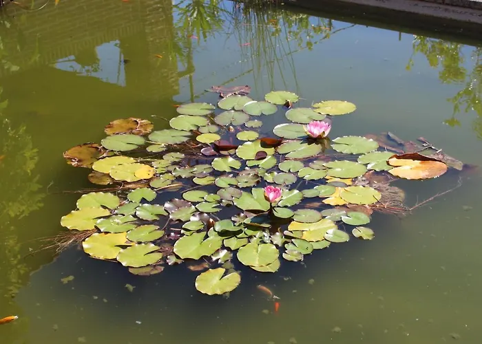 El Campo منزل ريفي Secadura