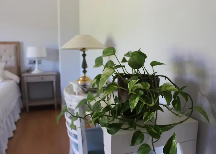 El Campo בית כפרי