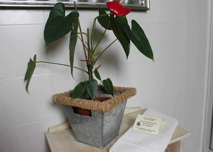 El Campo Casa rural *